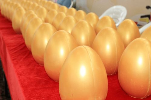 現代日用百貨城全新亮相，浙江食品市場再添消費新地標